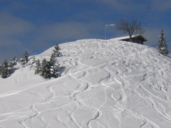 Ski / Snowboard