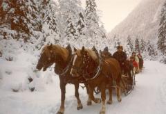 horse sleigh to Elmau